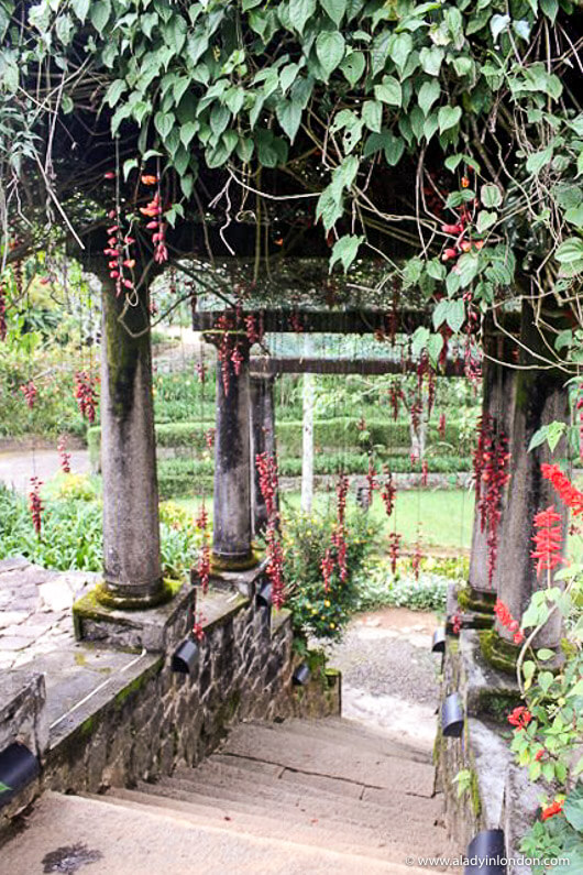 Garden at the Tientsin Bungalow at Ceylon Tea Trails in Sri Lanka