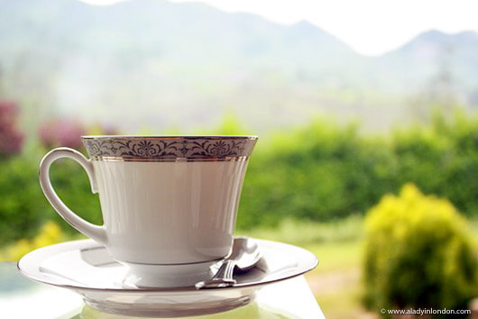 Cup of tea at Ceylon Tea Trails in Sri Lanka