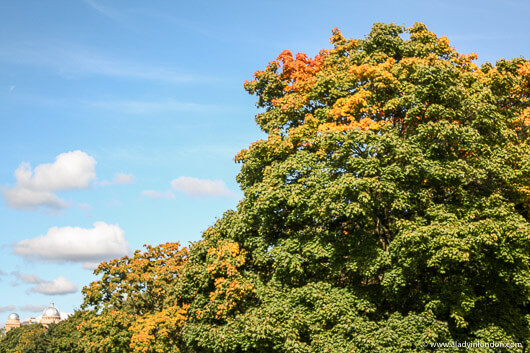 Hyde Park