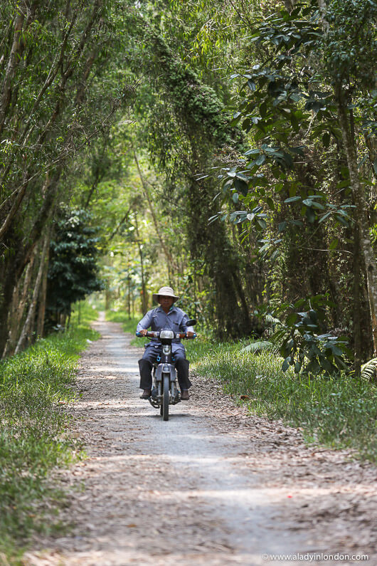 Man on a Motorcycle in Vietnam