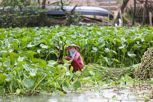 Mekong Delta, Vietnam