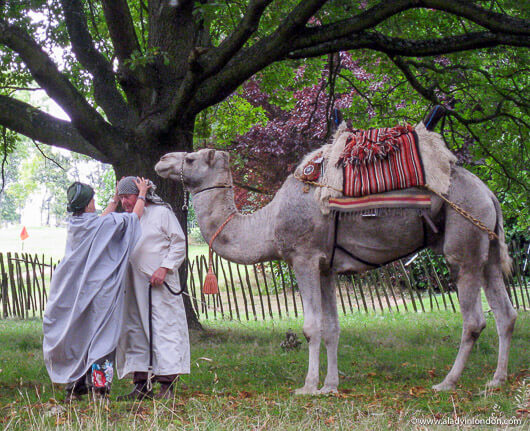 Secret Cinema London Camel