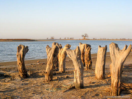 Landscape in Palmarin, Senegal
