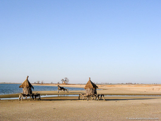 Beach in Palmarin, Senegal