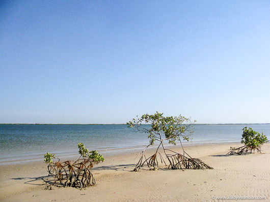 Beach in Palmarin, Senegal
