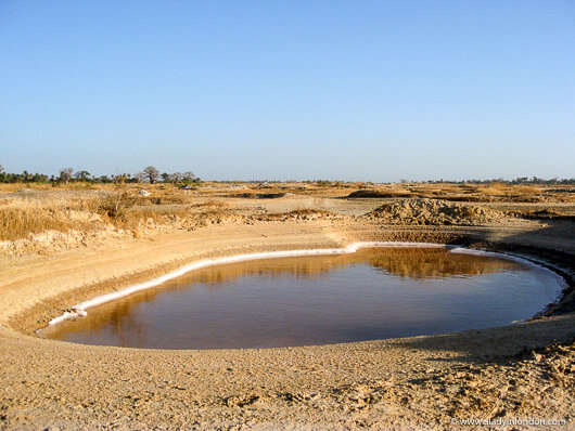 Salt Flats in southern Senegal