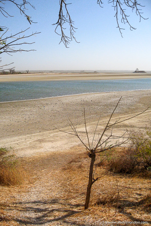 Les Collines de Niassam in Senegal