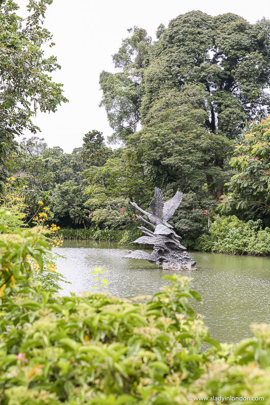 Singapore Botanical Garden