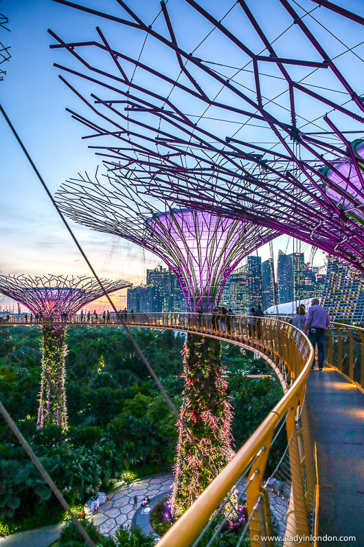 Gardens by the Bay, Singapore