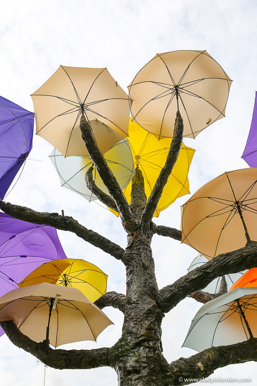 Umbrella Trees, Singapore