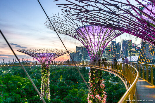 Gardens by the Bay, Singapore