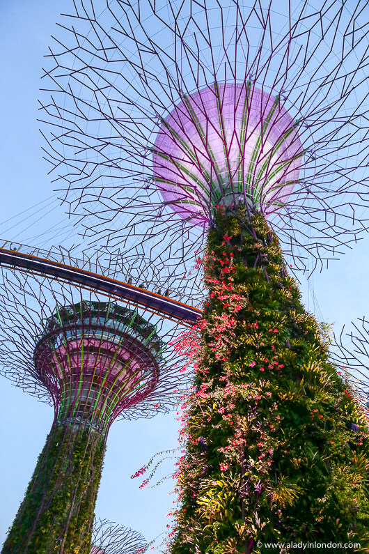Gardens by the Bay, Singapore