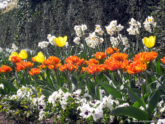 Garden at Cannizaro House Hotel in Wimbledon, London