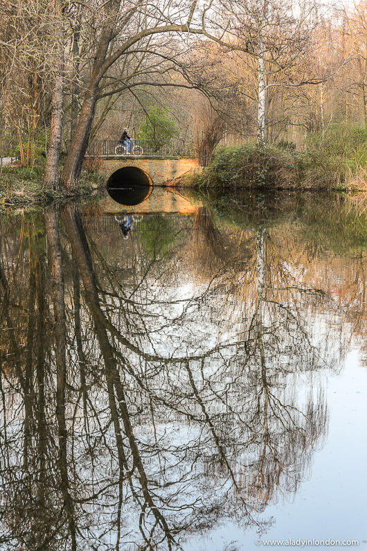 Tiergarten in Berlin, Germany