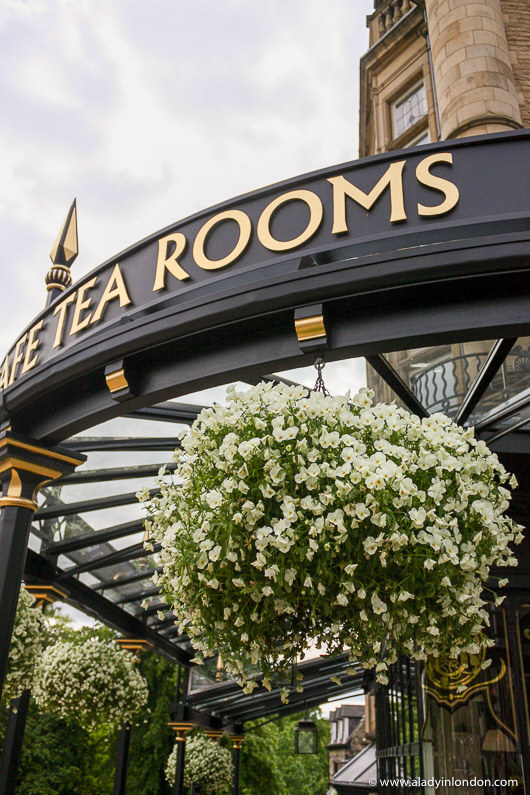 Bettys Cafe Tea Rooms Harrogate