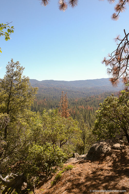 View from Chilnualna Falls Trail, Yosemite