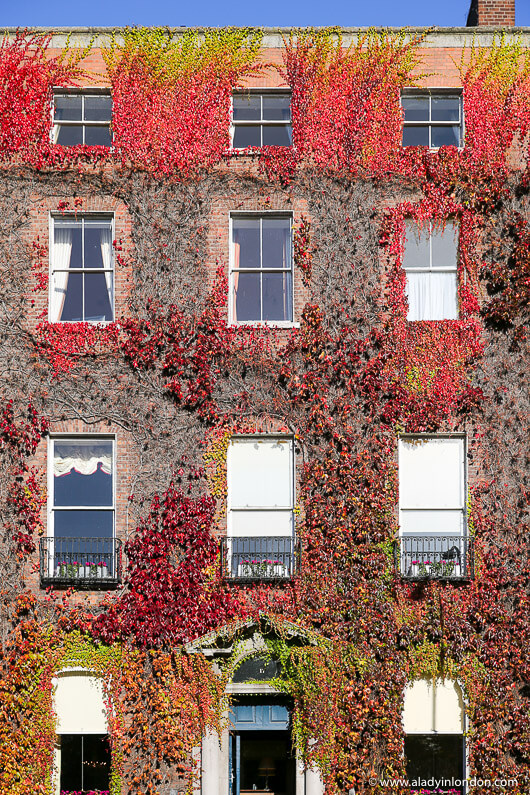 Autumn in Dublin