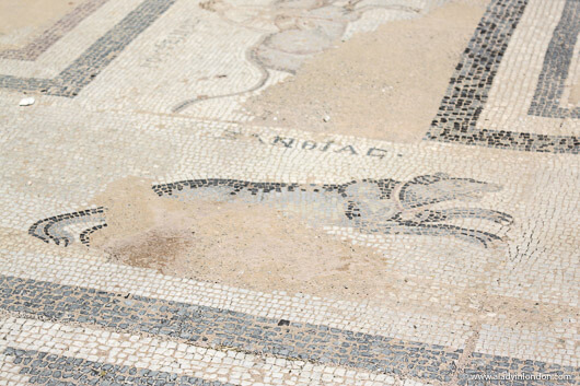 Mosaic in Kos, Greece