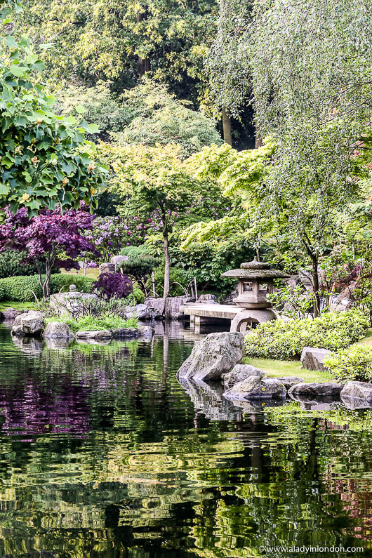 Kyoto Garden in Holland Park, west London