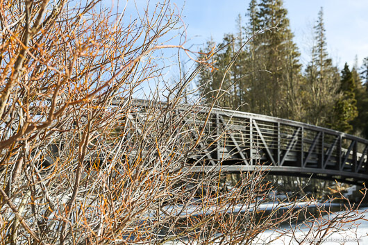 Bridge in Mammoth, California