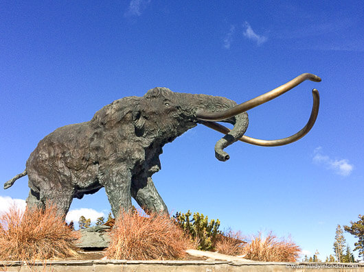 Mammoth Sculpture in California