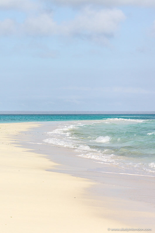 Beach on an Island in Mozambique
