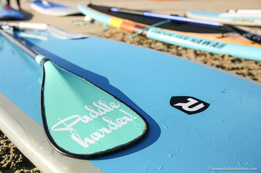 Stand Up Paddle Board in San Diego, California