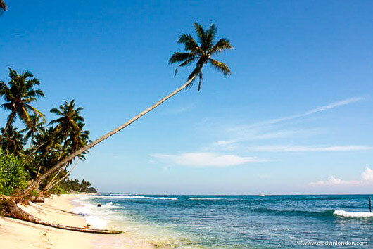 Sri Lanka Beach