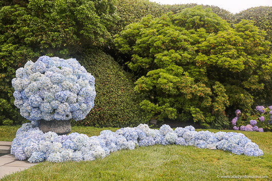 Flowers for a Wedding in the Hamptons