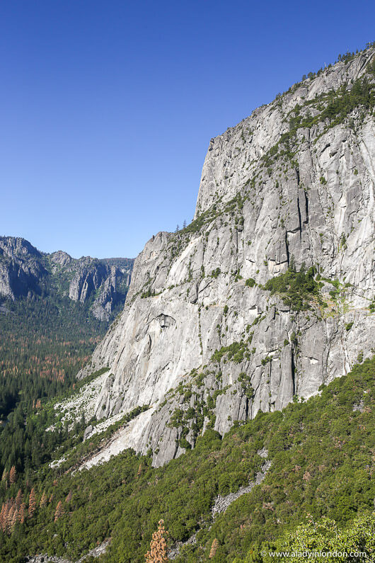 Yosemite View on a Hike