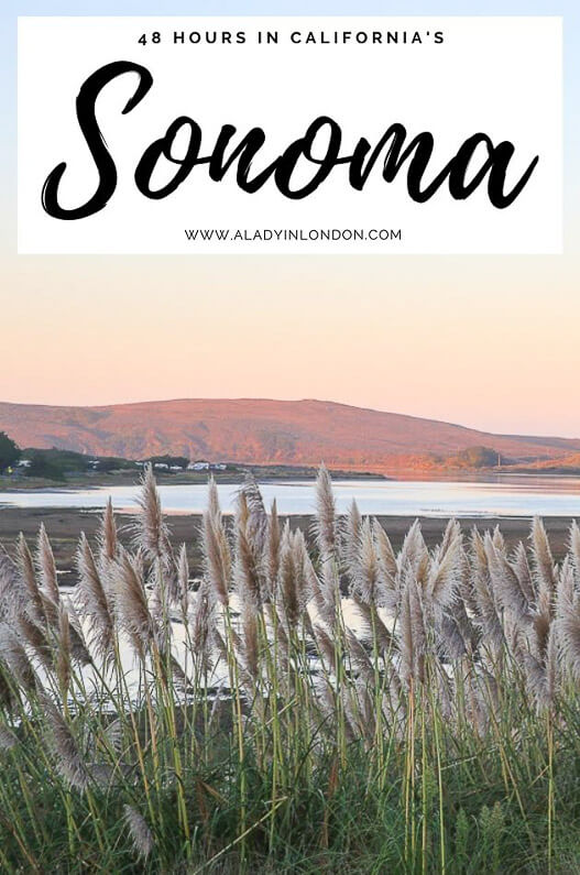 48 Hours in Sonoma County