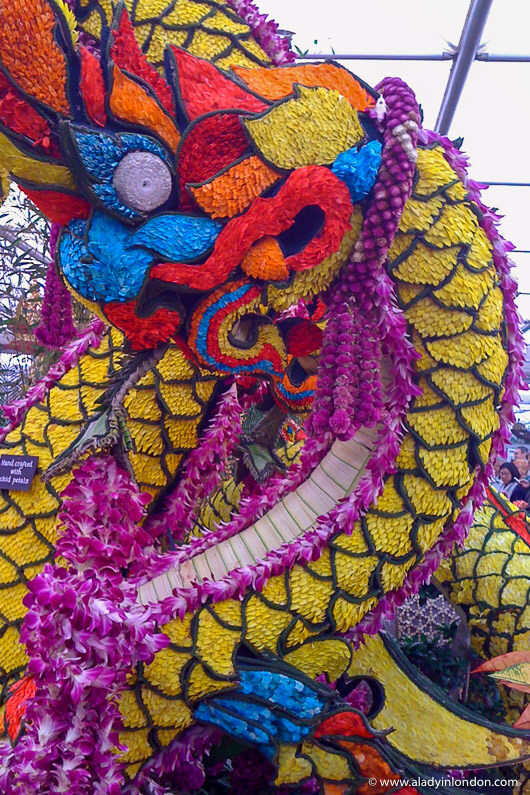 Dragon made of flowers