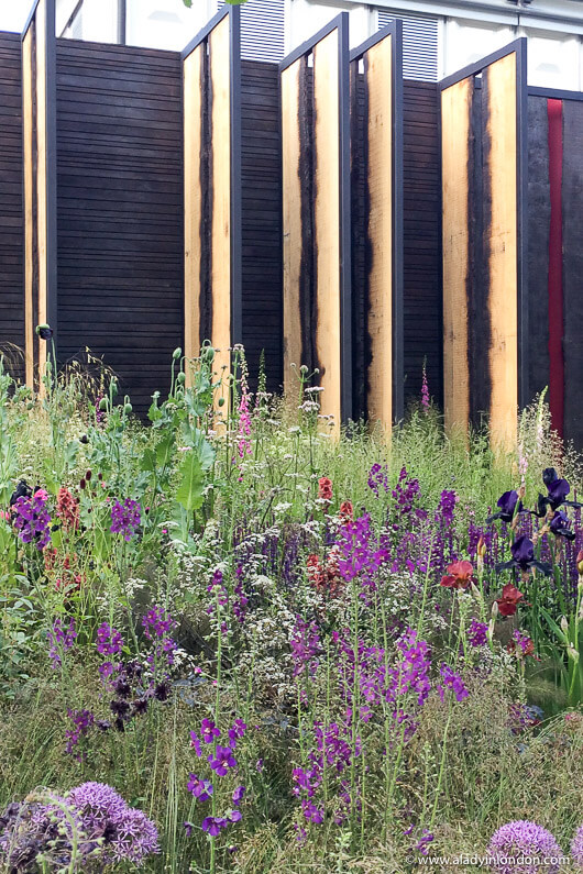 Show Garden at the Chelsea Flower Show Preview