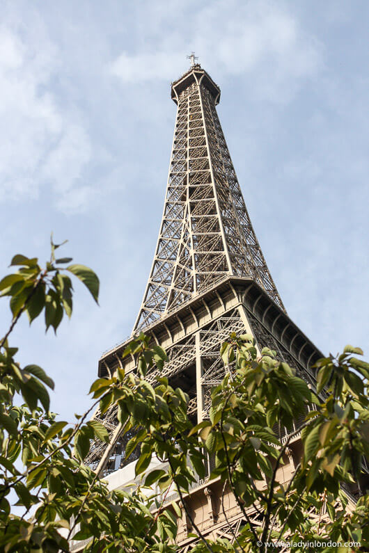 Eiffel Tower in Paris