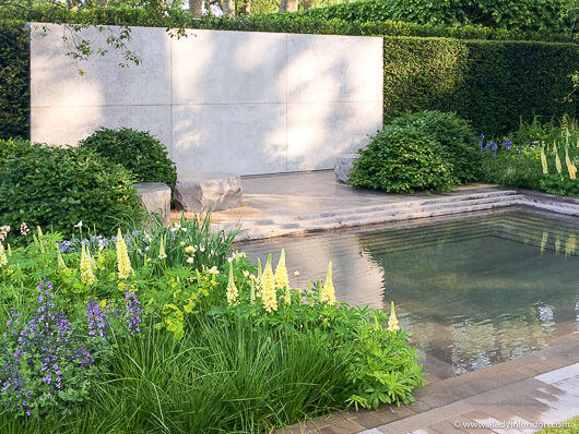 Show Garden at the Chelsea Flower Show