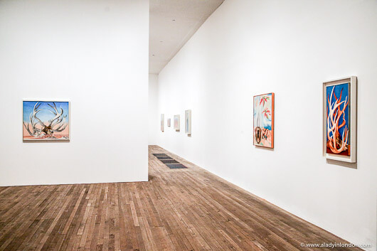 Georgia O'Keeffe Exhibition at Tate Modern