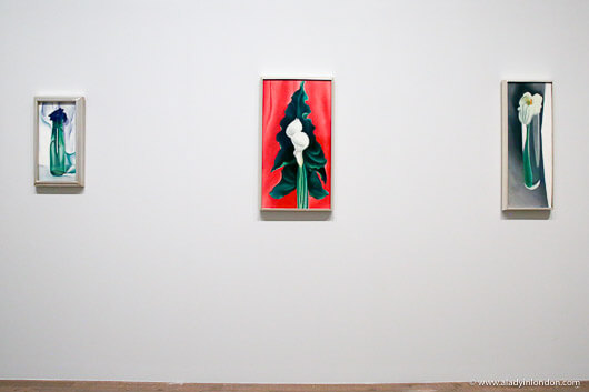 Georgia O'Keeffe Exhibition at Tate Modern