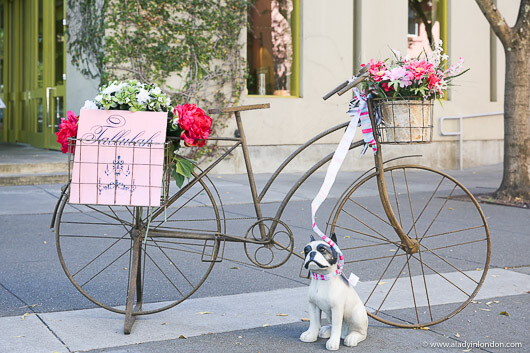 Healdsburg Square in Sonoma County