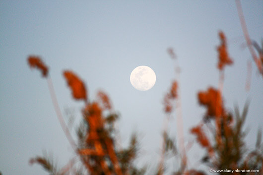 Moon over the Zambezi River in Zambia