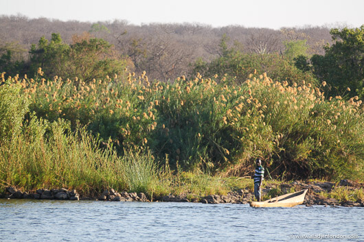 Mokoro in the Zambezi River in Zambia
