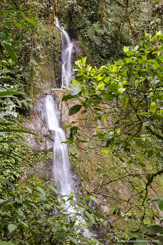 Waterfall in Mashpi Reserve, Ecuador