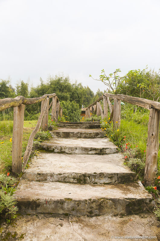 Mountain Gorilla View Lodge, Rwanda