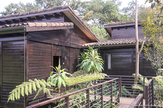 Nyungwe Forest Lodge, Rwanda