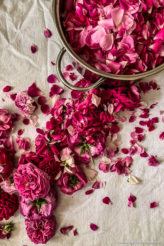 Valentines Day Flower Petals