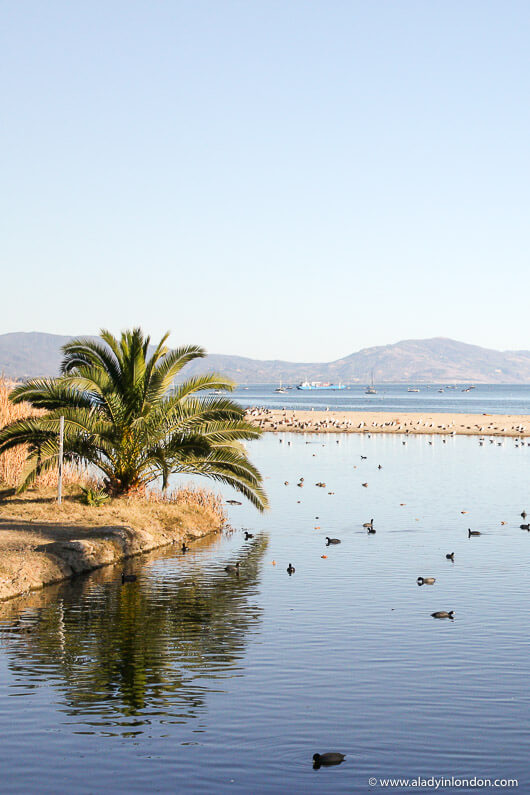 Beach in Santa Barbara, California