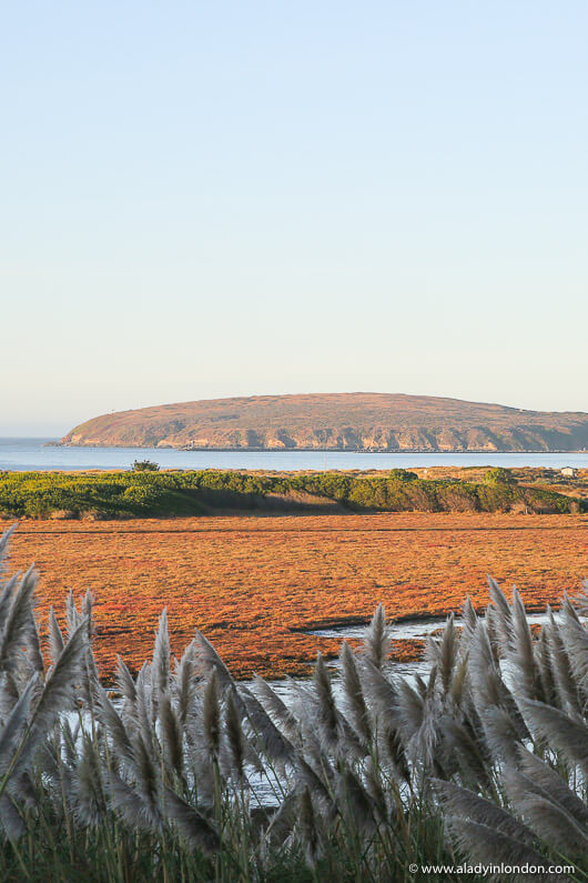 Ocean View in Bodega Bay During 48 Hours in Sonoma County
