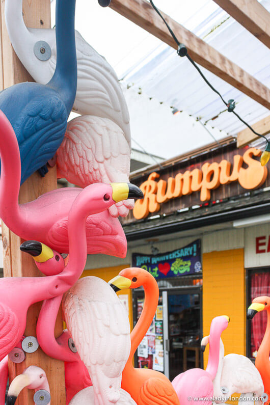 The Rumpus Room in Vancouver