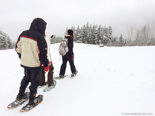 Snowshoeing in Whistler in Winter