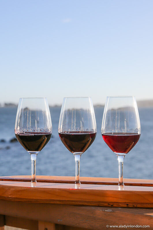 Wine Tasting on Bodega Bay
