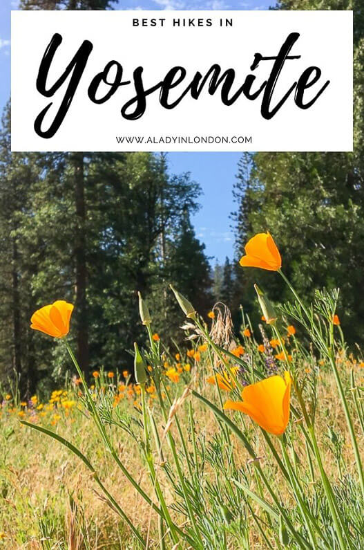 Yosemite Hiking Video